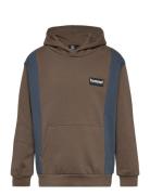 Hummel Hmlallton Hoodie Brun