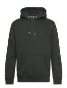 Superdry Essential Logo Hoodie Grön