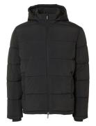 Selected Homme Slhcooper Puffer Jkt Noos Svart