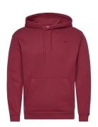 Hollister Hco. Guys Sweatshirts Burgundy