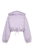 Tom Tailor Cropped Cutline Hoody Jacket Lila