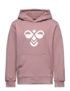 Hummel Hmlcuatro Hoodie Rosa