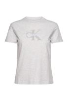 Calvin Klein Jeans Chenille Monologo Regular Tee Grå