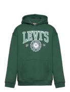 Levi's Levi's® Sporty Pullover Hoodie Grön