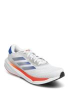 Adidas Performance Supernova Stride M Vit