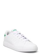 Adidas Sportswear Advantage Base 2.0 J Vit