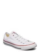 Converse All Star Ox Optical White Vit