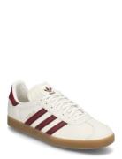 Adidas Originals Gazelle Beige