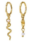 Maanesten Evelyn Earrings Guld