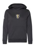 Adidas Performance Jb Hoodie Youth Svart