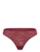 Calvin Klein Thong Burgundy