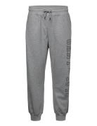 GANT D.2 Retro Shield Sweatpants Grå