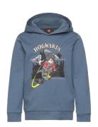 LEGO Kidswear Lwscout 706 - Sweatshirt Blå