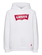 Levi's Po-Pull-Over Hoody Vit