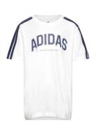 Adidas Sportswear J C Colleg Tee Vit