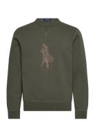 Polo Ralph Lauren Leather-Pony Double-Knit Sweatshirt Grön