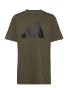 Adidas Sportswear J Bl Tee 160 Khaki Green