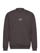 EA7 Sweatshirt Brun