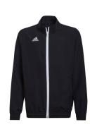 Adidas Performance Ent22 Prejkty Svart