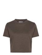 Mango Short-Sleeve Knitted T-Shirt Brun