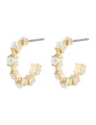 SNÖ Of Sweden Lucy Oval Ear G/White Guld