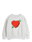 Mini Rodini Arrowed Heart Chenille Sweatshirt Grå