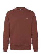 Dickies M Oakport Sweatshirt Brun