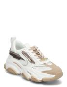 Steve Madden Possession-E Sneaker Vit