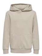 ONLY & SONS Osjceres Hoodie Swt Noos Grå