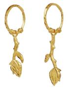 Maanesten Rory Earrings Guld