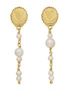 Maanesten Marylyn Earrings Guld