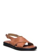 ANGULUS Sandals - Flat Brun