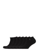 Polo Ralph Lauren Cushi D Low-Cut-Sock 6-Pack Svart