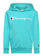 Champion Hooded Sweatshirt Blå