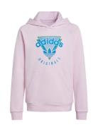 Adidas Originals Hoodie Fl Rosa