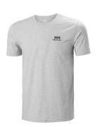 Helly Hansen Nord Graphic T-Shirt Grå