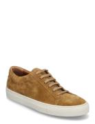 Polo Ralph Lauren Jermain Suede Sneaker Brun