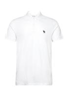 Abercrombie & Fitch Anf Mens Knits Vit