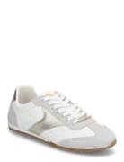 Steve Madden Fan Fav Sneaker Grå