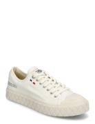 Palladium Palla Ace Cvs Org Vit
