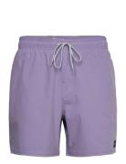 Rip Curl Daily Volley Lila