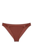 Triumph Midnight Swim Tai Brun