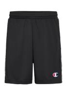 Champion Bermuda Svart