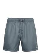 Pockies Teal Shorties Grå