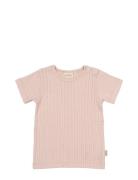 Petit Piao T-Shirt S/S Pointelle Rosa