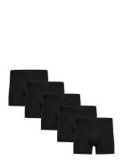 Claudio Claudio 5-Pack Tights Svart