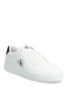 Calvin Klein Classic Cupsole Mono Lth Vit