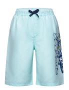 LEGO Kidswear Lwagan 306 - Swim Shorts Blå