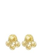Bud To Rose Palma Earring Guld