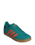 Adidas Originals Gazelle J Blå